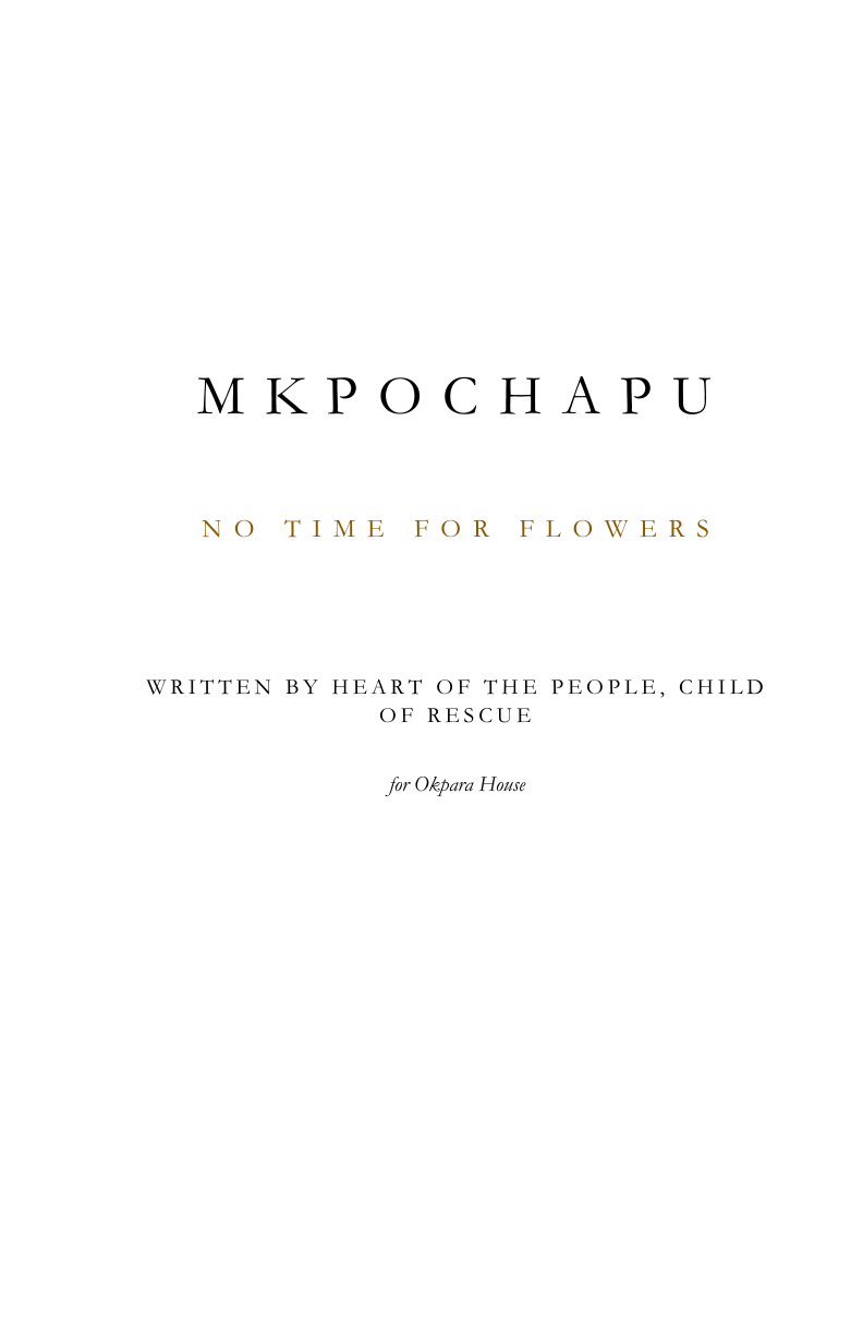 Mkpochapu publication cover